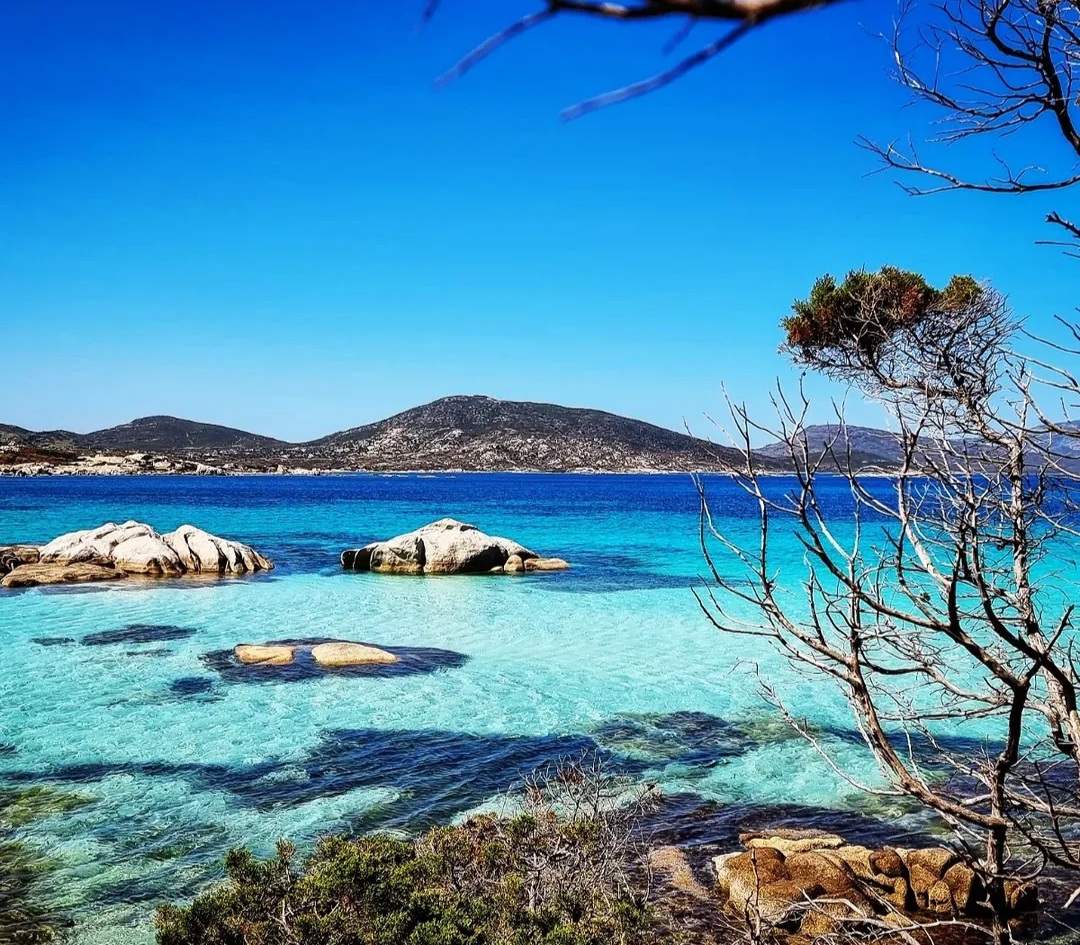 Asinara Escursioni